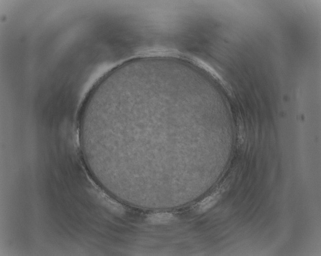 X0000071781462200607211545