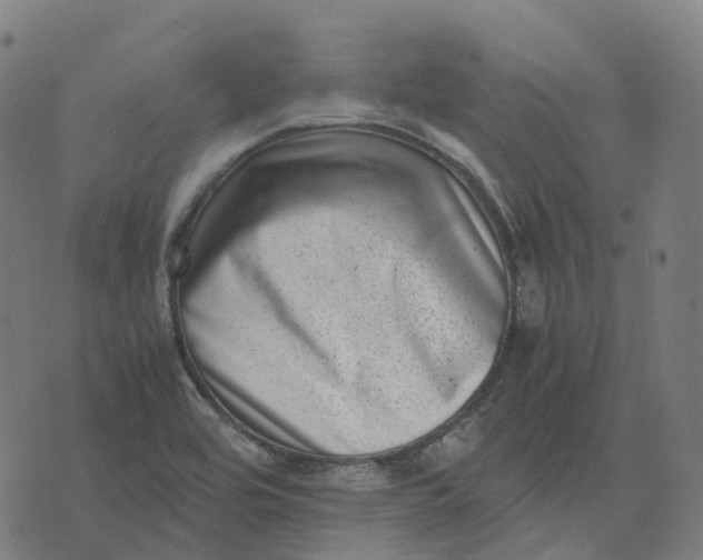 X0000071781464200607211545