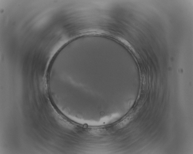 X0000071781466200607211544