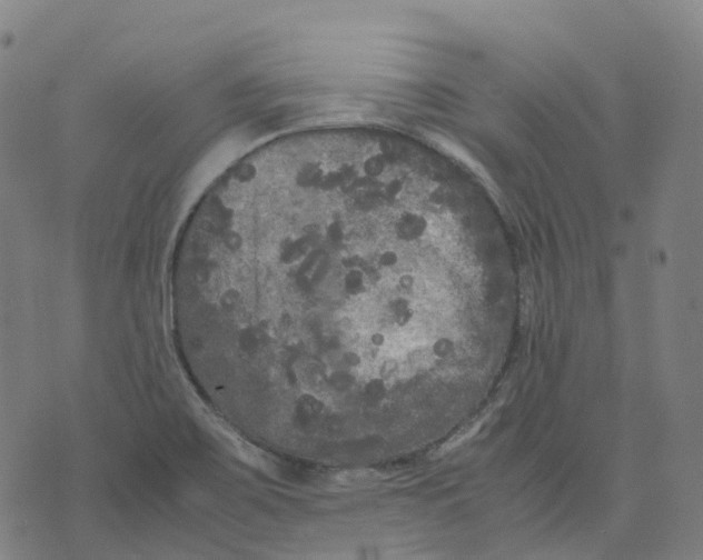 X0000071781467200607211544