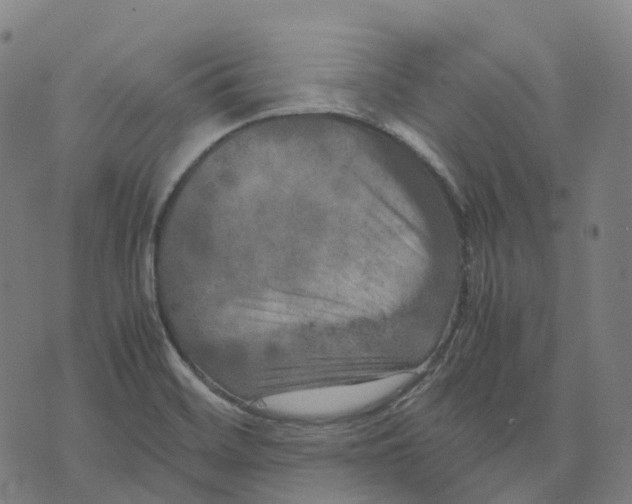 X0000071781468200607211544