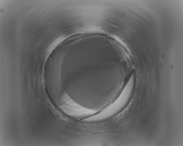 X0000071781469200607211544