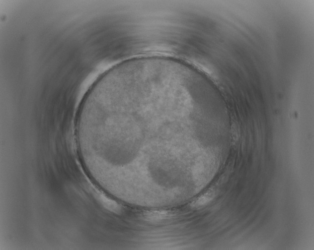 X0000071781470200607211544