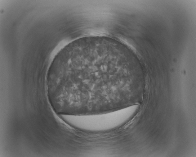 X0000071781471200607211544