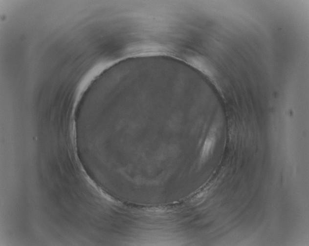 X0000071781472200607211544