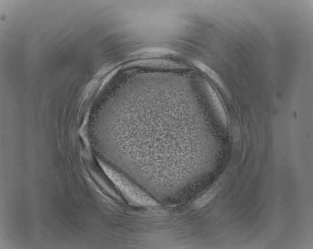 X0000071781473200607211544