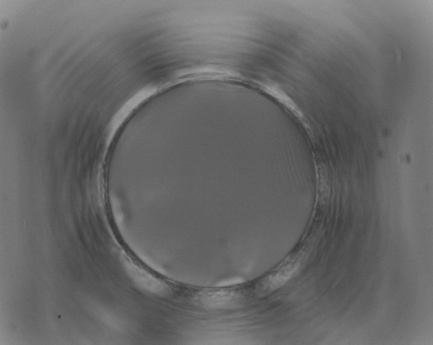 X0000071781474200607211544