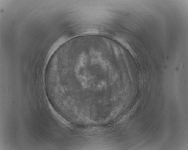 X0000071781475200607211544