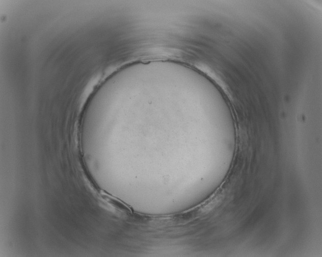 X0000071781477200607211544