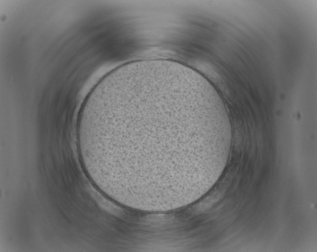 X0000071781478200607211544