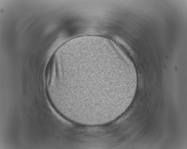 X0000071781479200607211544