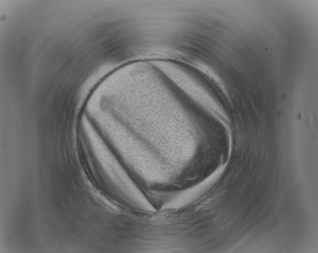 X0000071781480200607211544