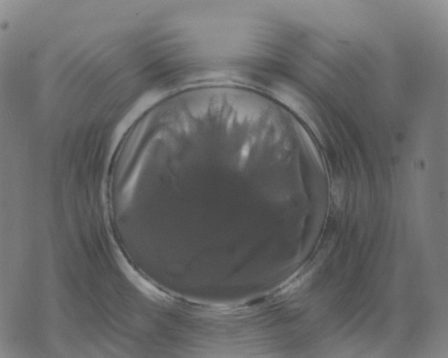 X0000071781482200607211544