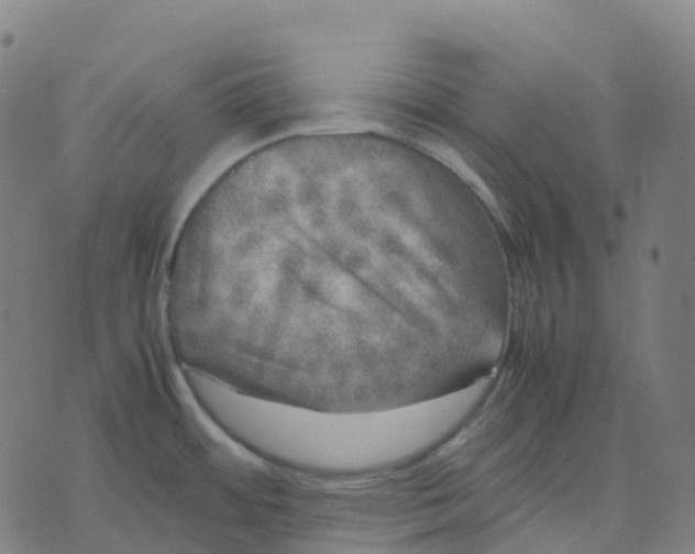 X0000071781484200607211544