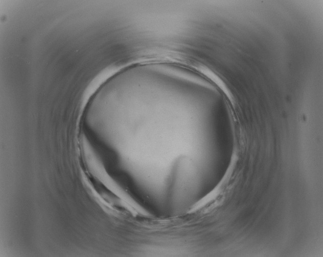 X0000071781485200607211544