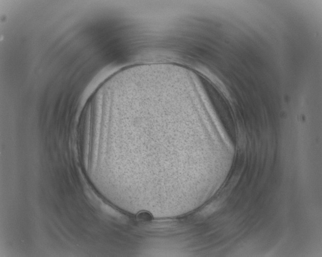 X0000071781486200607211544