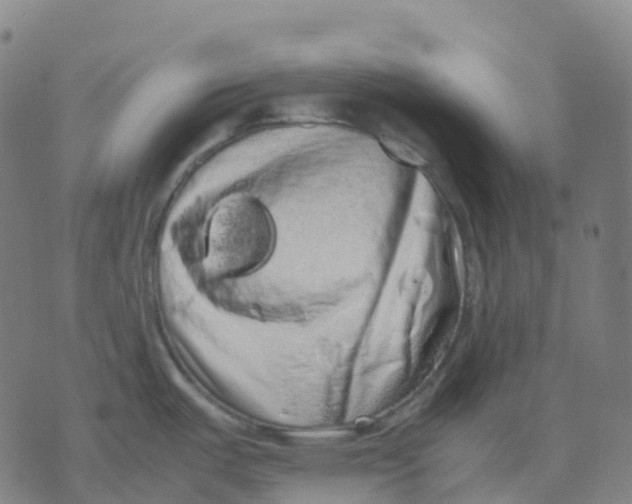 X0000071781487200607211544