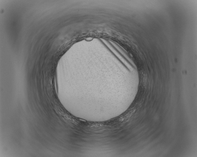 X0000071781489200607211543