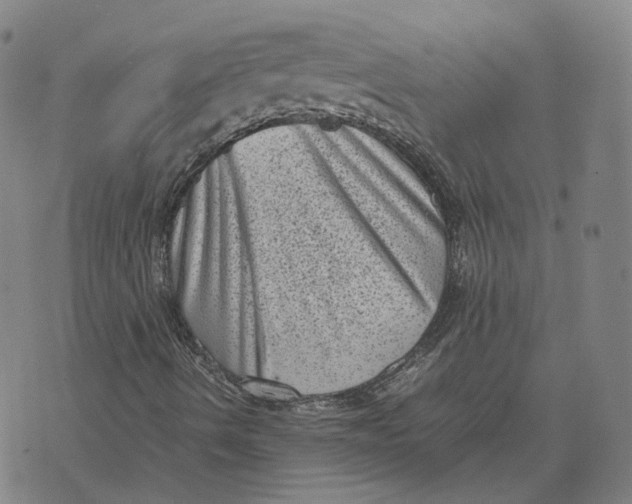 X0000071781490200607211543