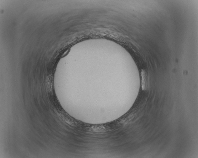 X0000071781491200607211543