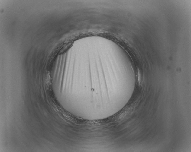 X0000071781492200607211543