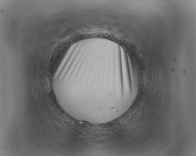 X0000071781493200607211543