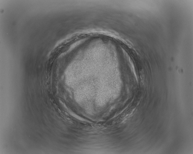 X0000071781494200607211543