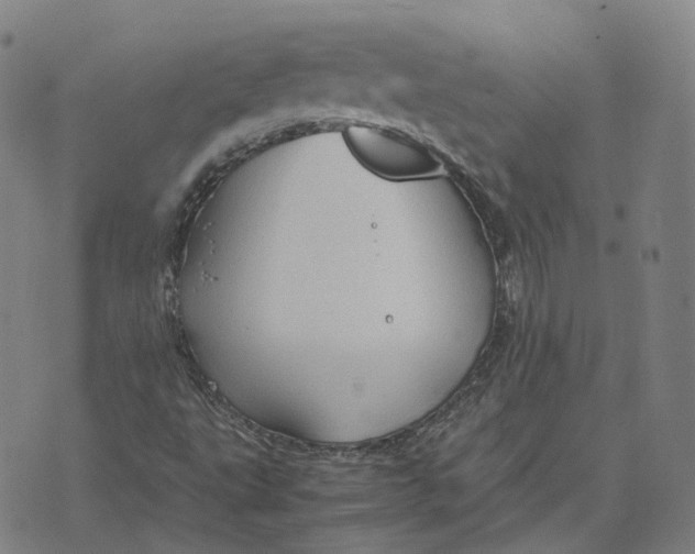 X0000071781495200607211543