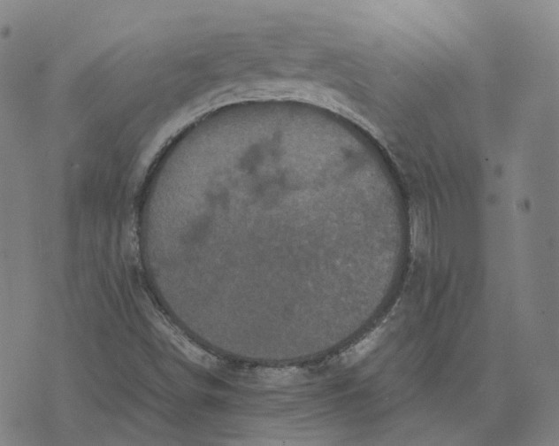 X0000071781498200607211544