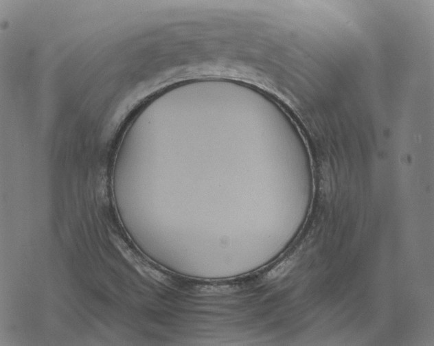 X0000071781499200607211544