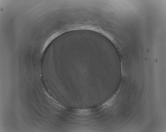 X0000071781501200607211544