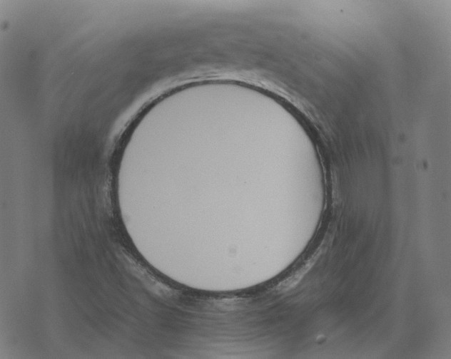 X0000071781502200607211544