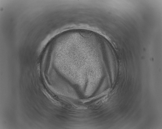 X0000071781503200607211544