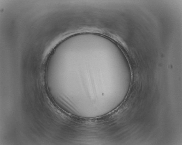 X0000071781504200607211544