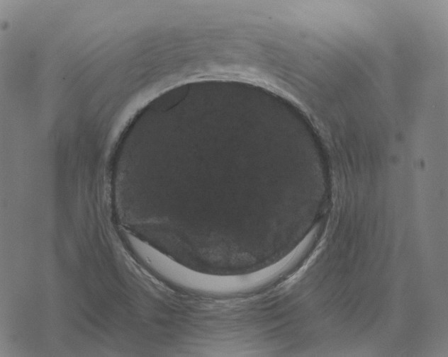 X0000071781506200607211544