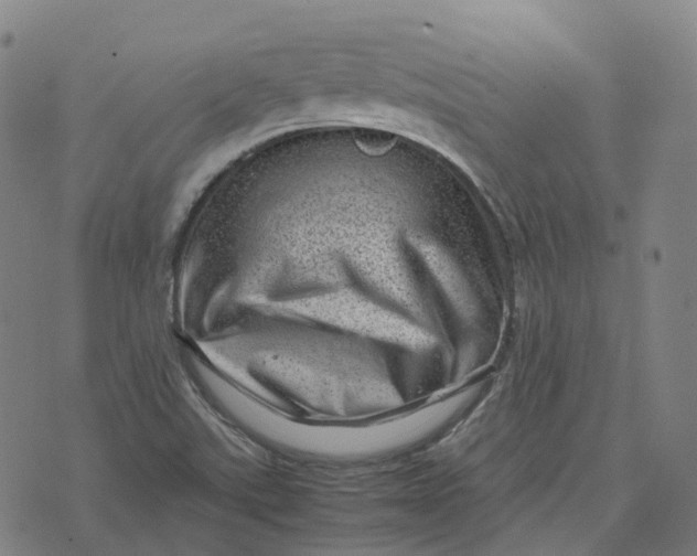 X0000071781507200607211544