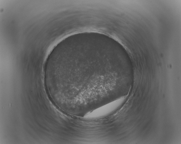 X0000071781508200607211544