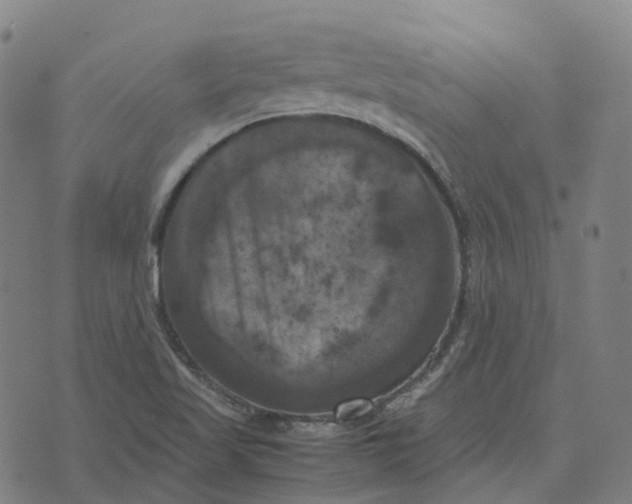 X0000071781509200607211544