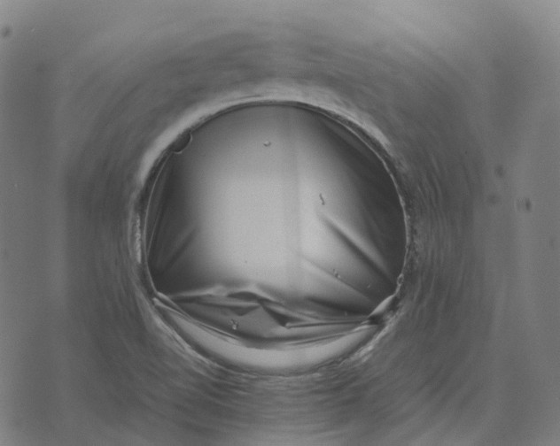 X0000071781510200607211544