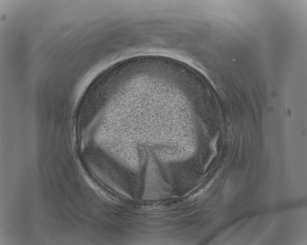 X0000071781511200607211544