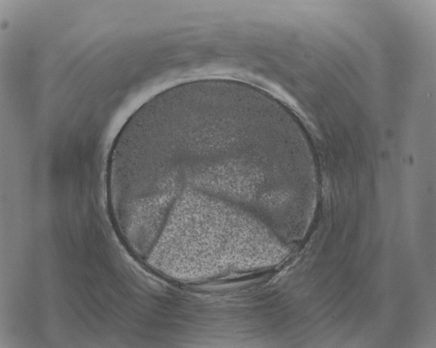 X0000071781512200607211544