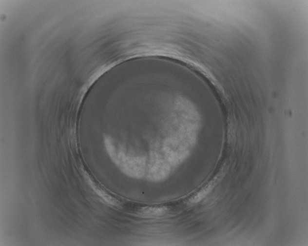 X0000071781513200607211544