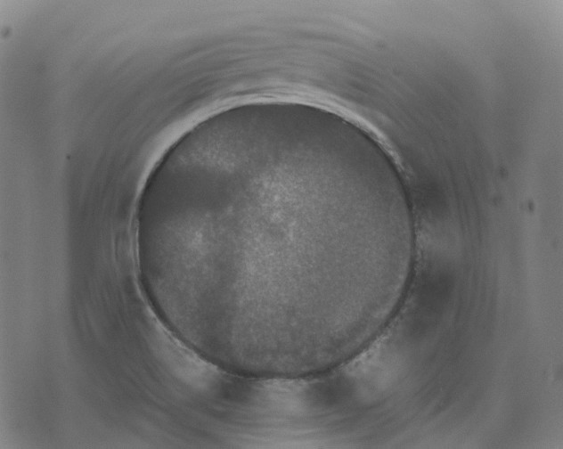 X0000071781514200607211544