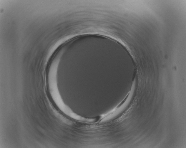 X0000071781515200607211544