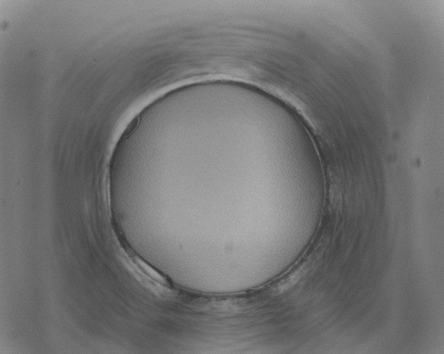 X0000071781516200607211544