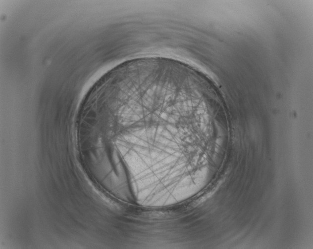 X0000071781517200607211544