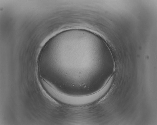 X0000071781518200607211544