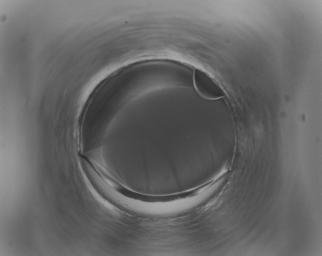 X0000071781519200607211544