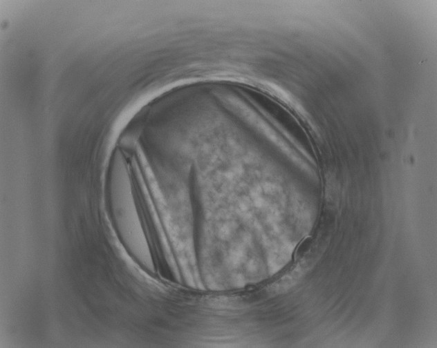 X0000071781520200607211544