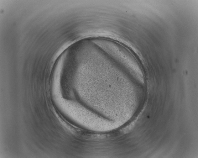 X0000071781521200607211544